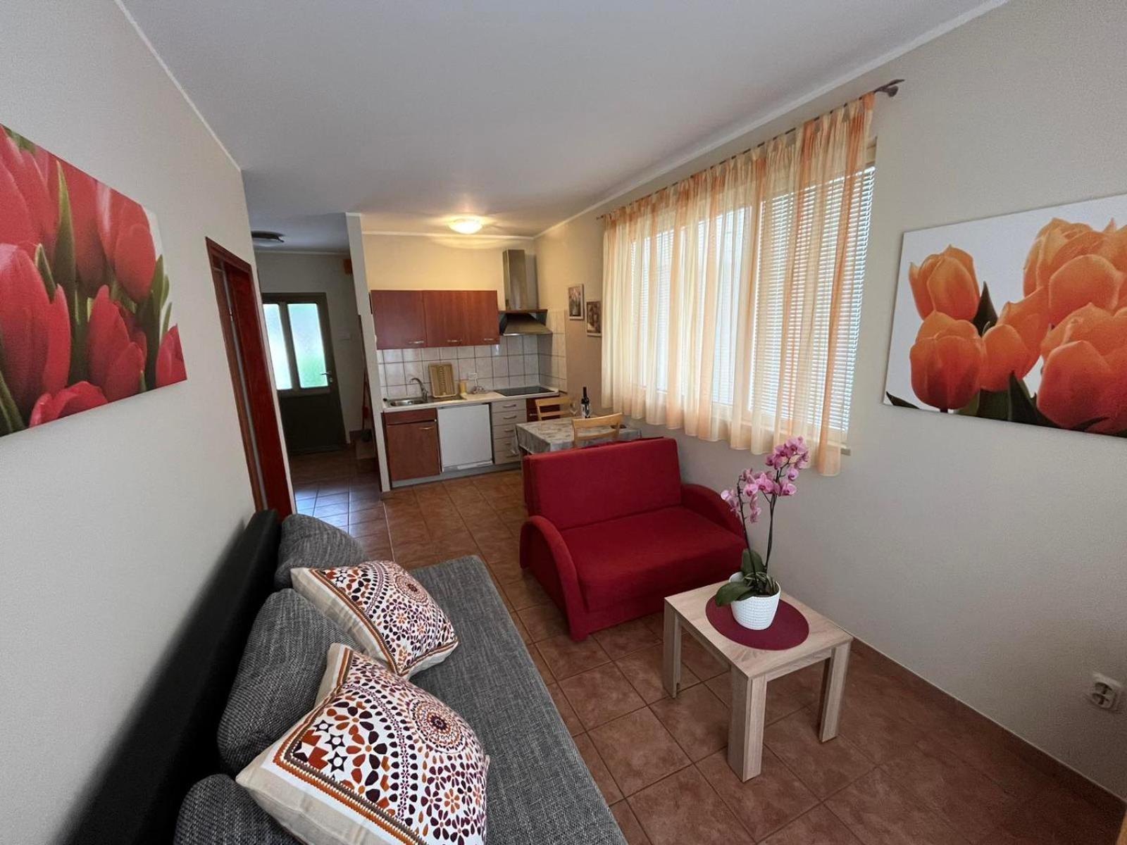 Family Apartments Suzi Rovinj Luaran gambar