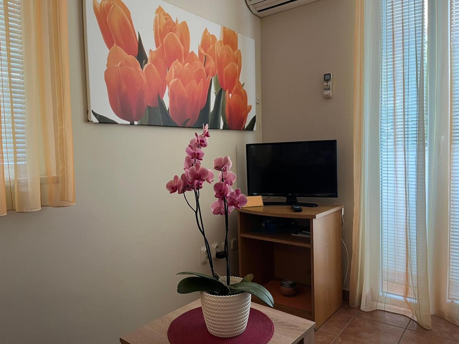 Family Apartments Suzi Rovinj Luaran gambar